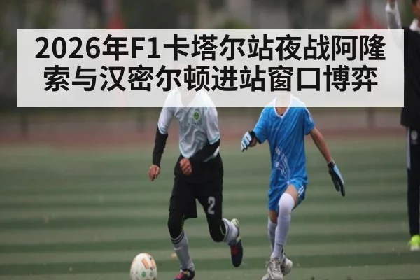 2026年F1卡塔尔站夜战阿隆索与汉密尔顿进站窗口博弈